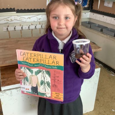 Caterpillar observers