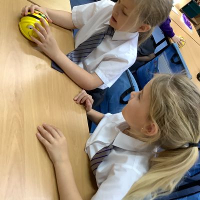 Pankhurst Bee Bots!