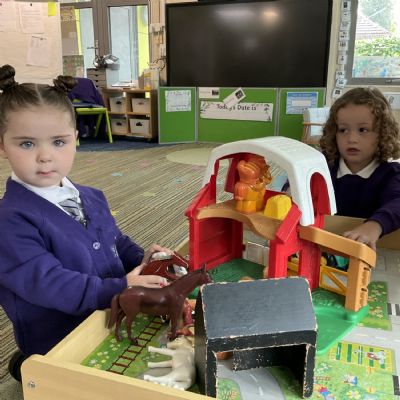 Our First Week