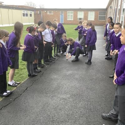 As part of our Science topic about Forces, we made catapults then tested them out.