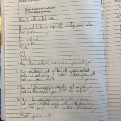 Writing Instructions