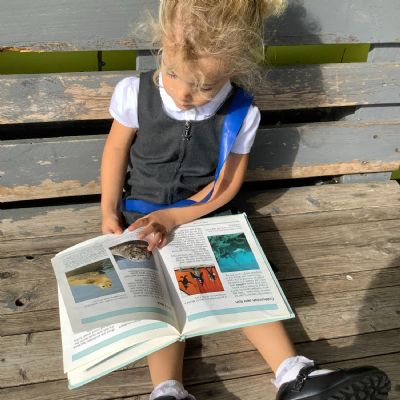 Exploring the Outdoor Environment